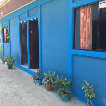 Green Macaw Hostel Тортугеро Экстерьер фото