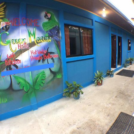 Green Macaw Hostel Тортугеро Экстерьер фото