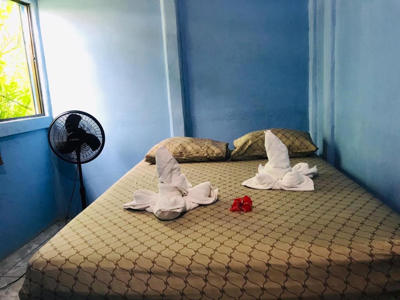 Green Macaw Hostel Тортугеро Номер фото