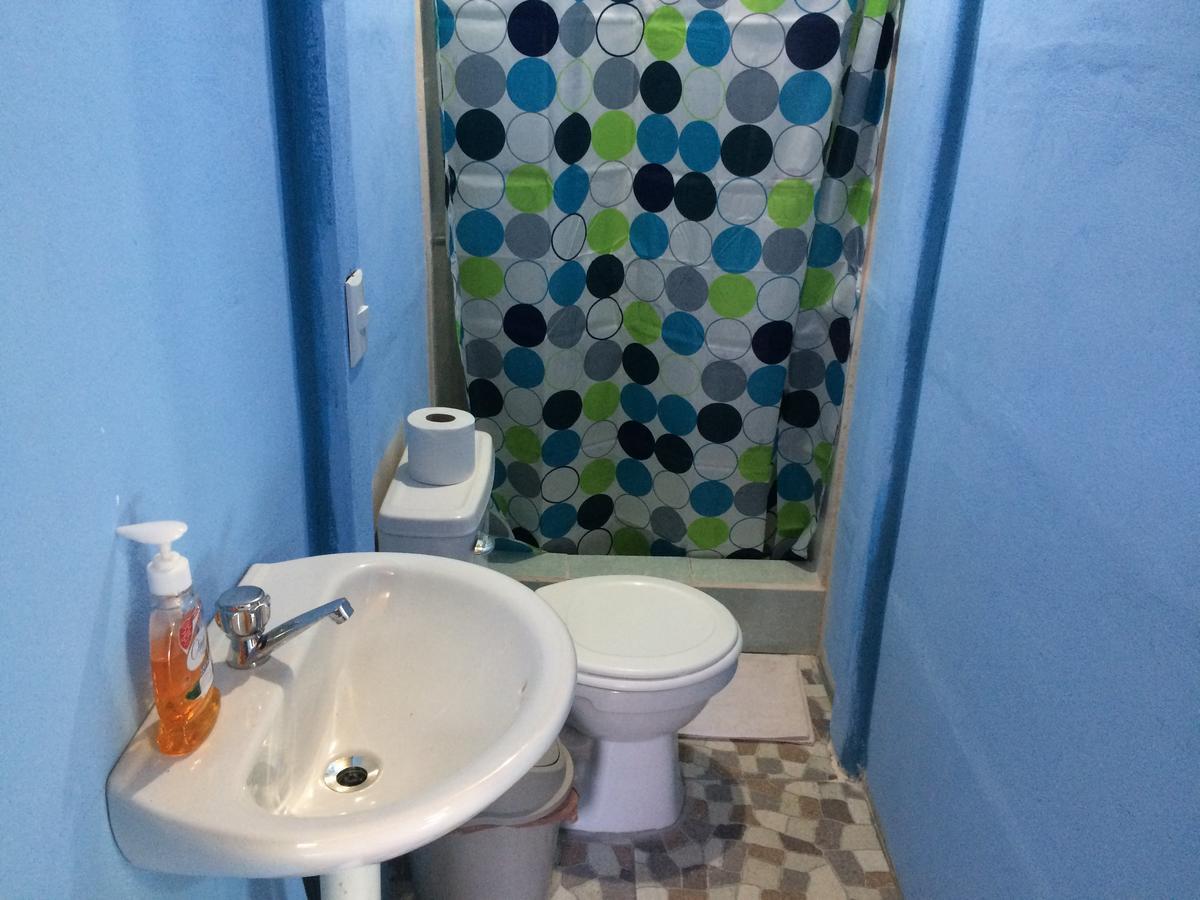 Green Macaw Hostel Тортугеро Номер фото