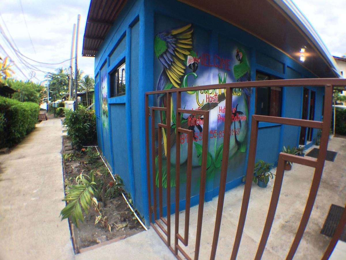 Green Macaw Hostel Тортугеро Экстерьер фото