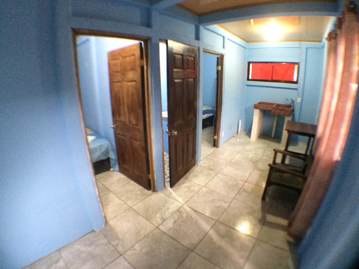 Green Macaw Hostel Тортугеро Экстерьер фото