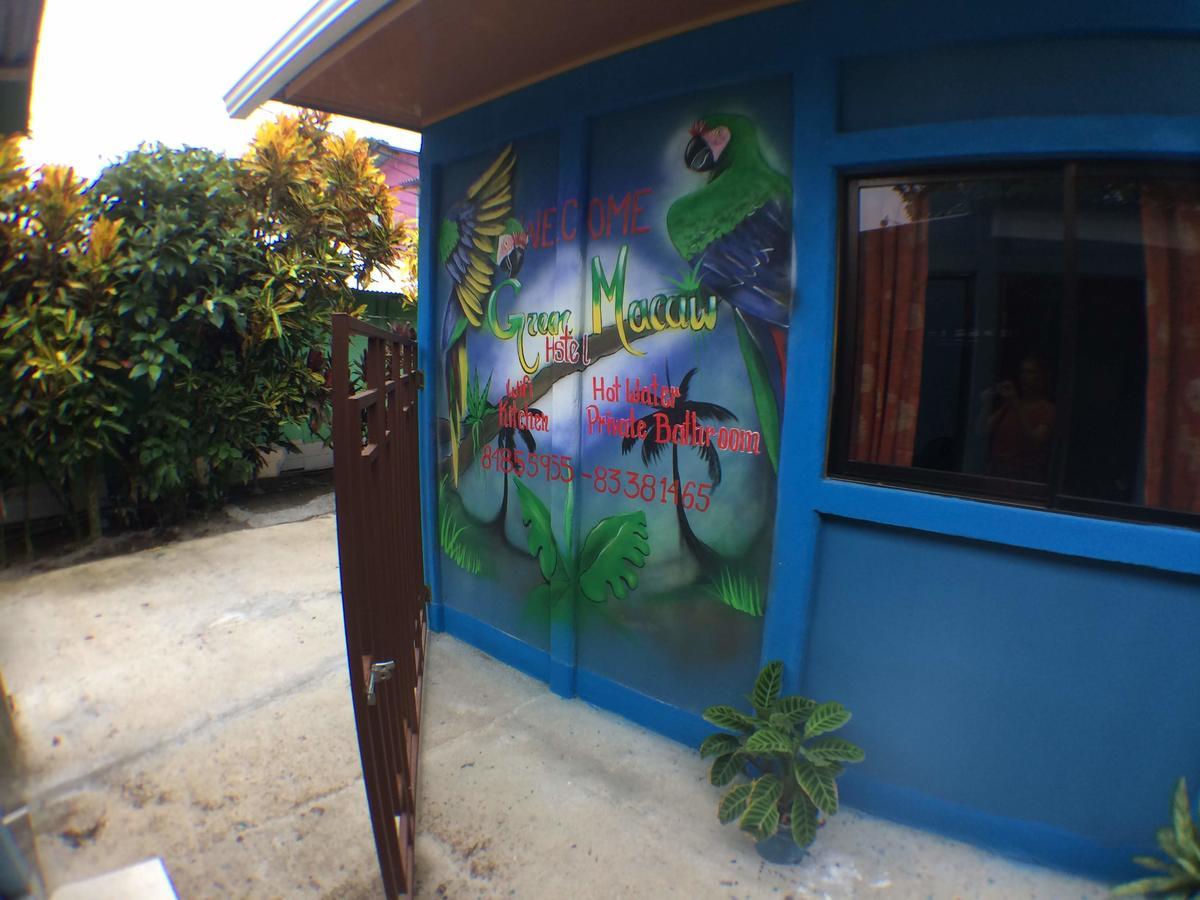 Green Macaw Hostel Тортугеро Экстерьер фото