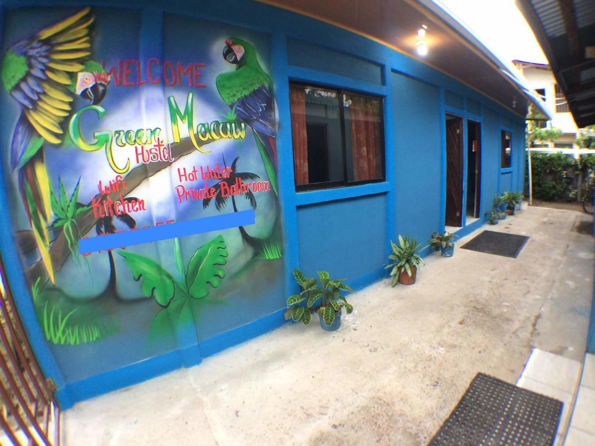 Green Macaw Hostel Тортугеро Экстерьер фото