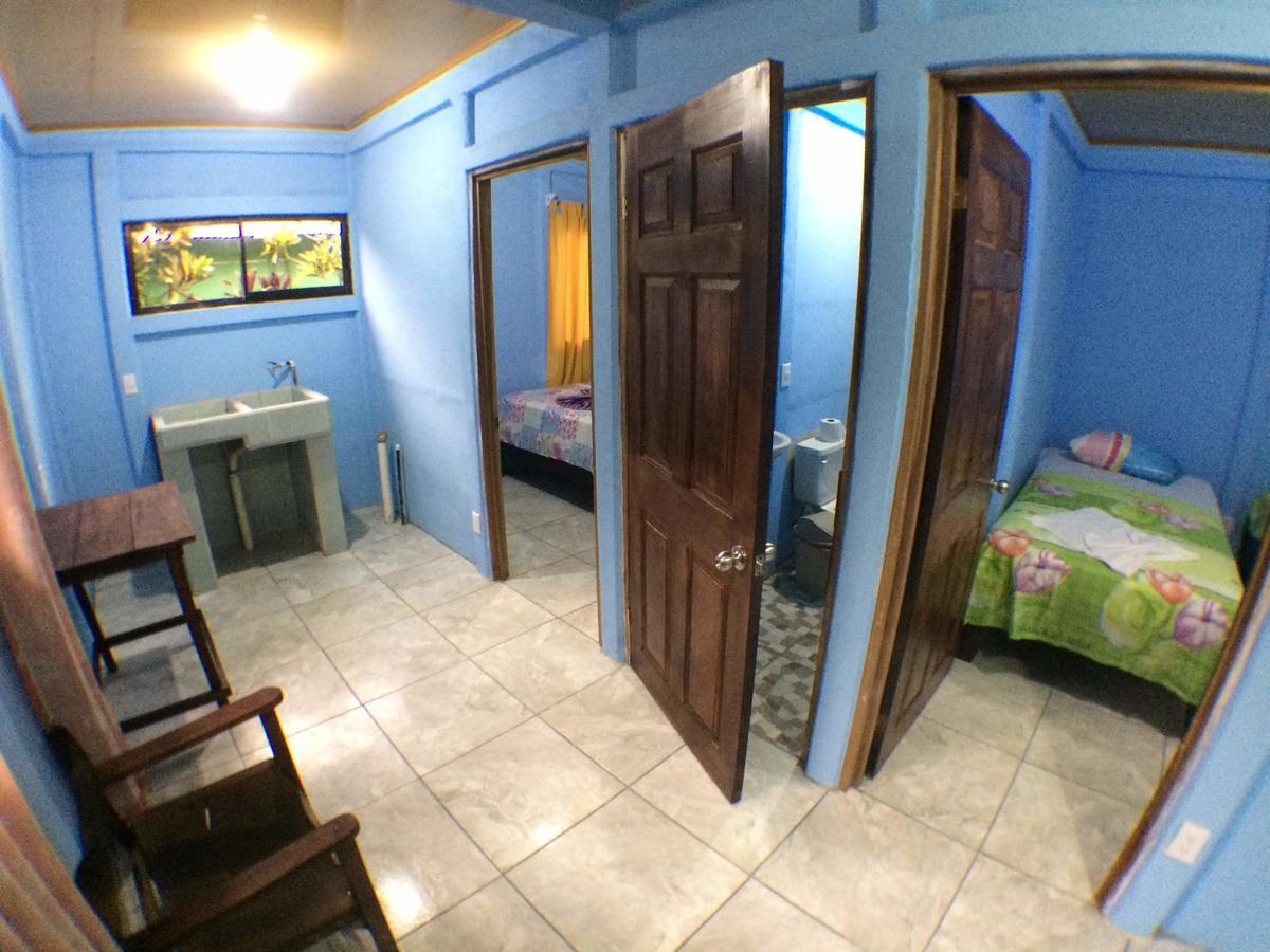 Green Macaw Hostel Тортугеро Экстерьер фото