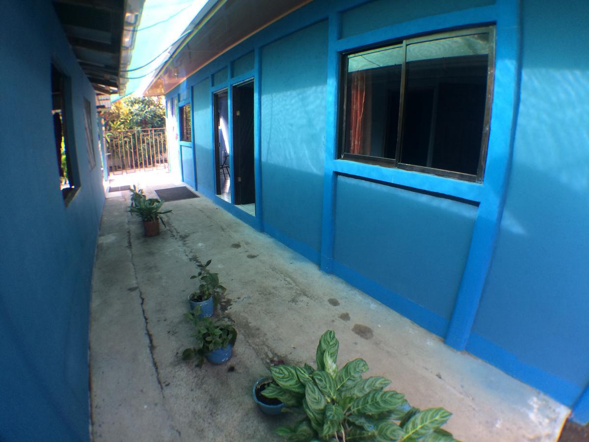 Green Macaw Hostel Тортугеро Экстерьер фото