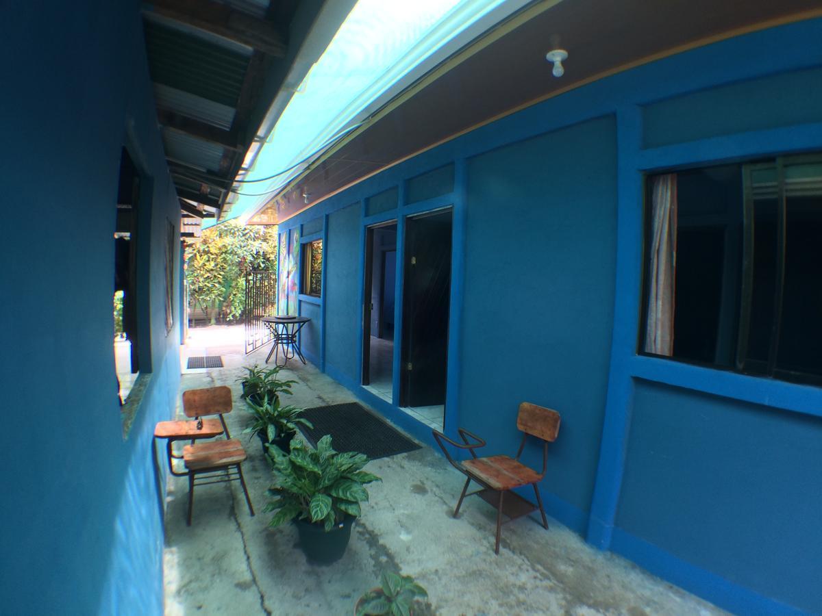 Green Macaw Hostel Тортугеро Экстерьер фото