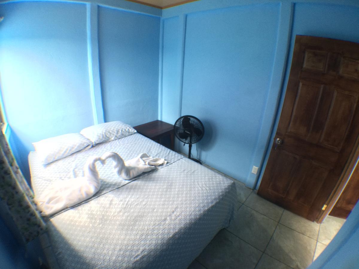 Green Macaw Hostel Тортугеро Экстерьер фото