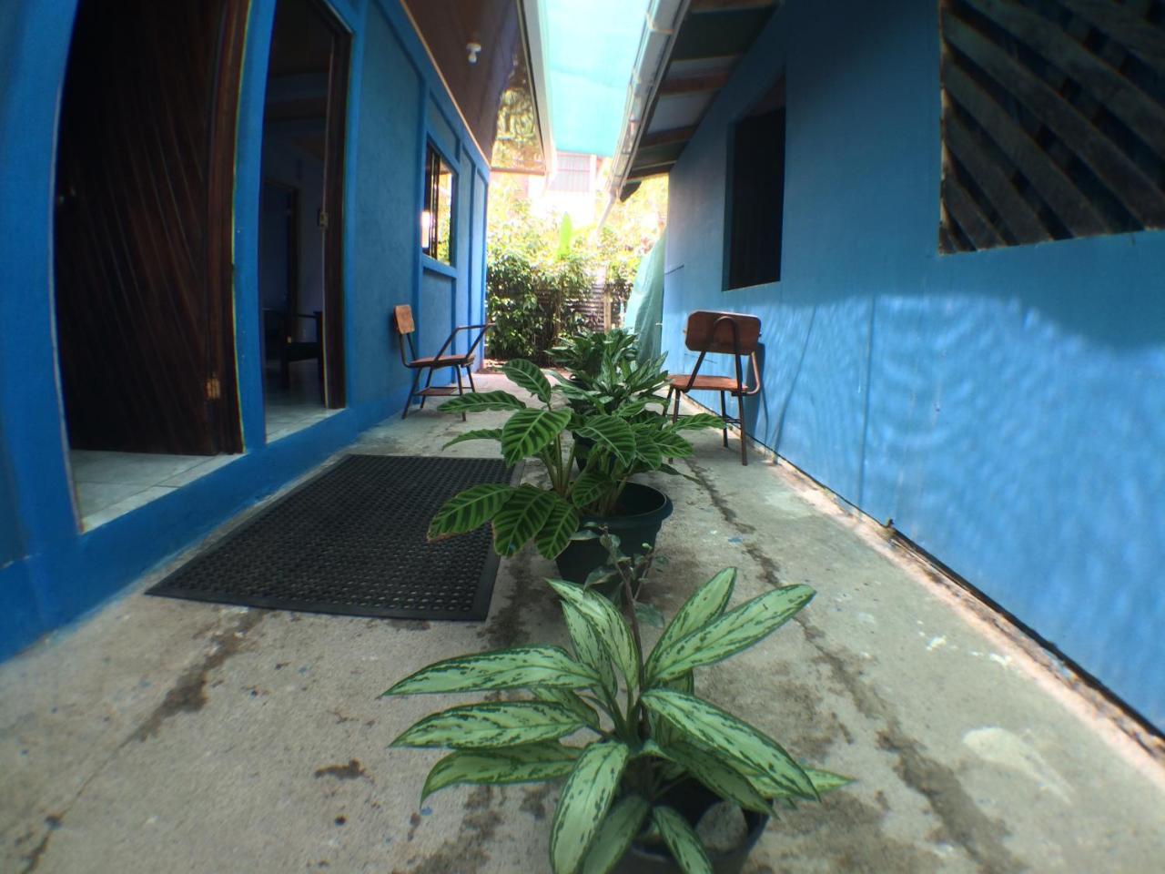 Green Macaw Hostel Тортугеро Экстерьер фото