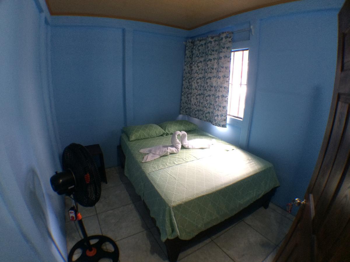 Green Macaw Hostel Тортугеро Экстерьер фото