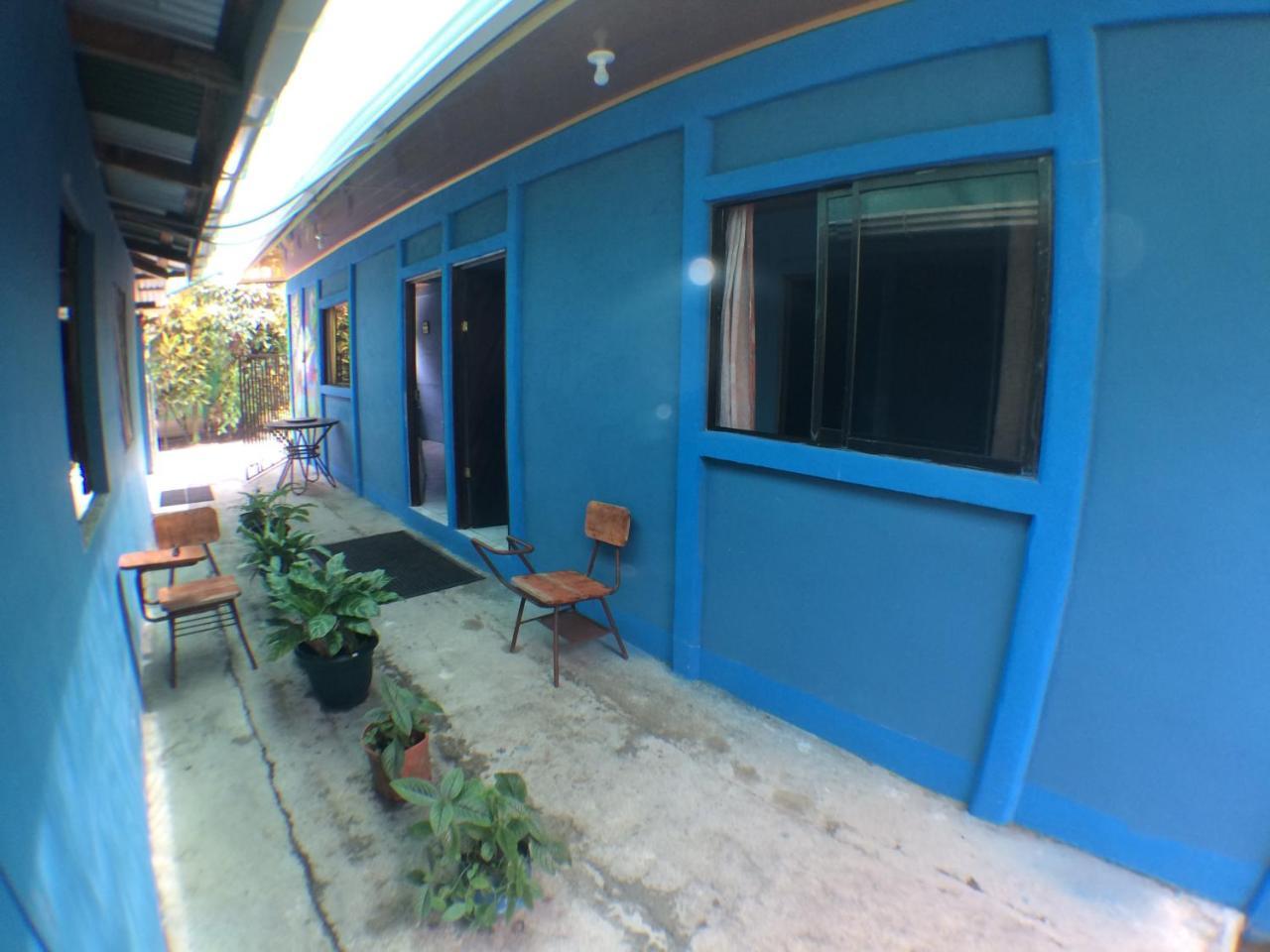 Green Macaw Hostel Тортугеро Экстерьер фото