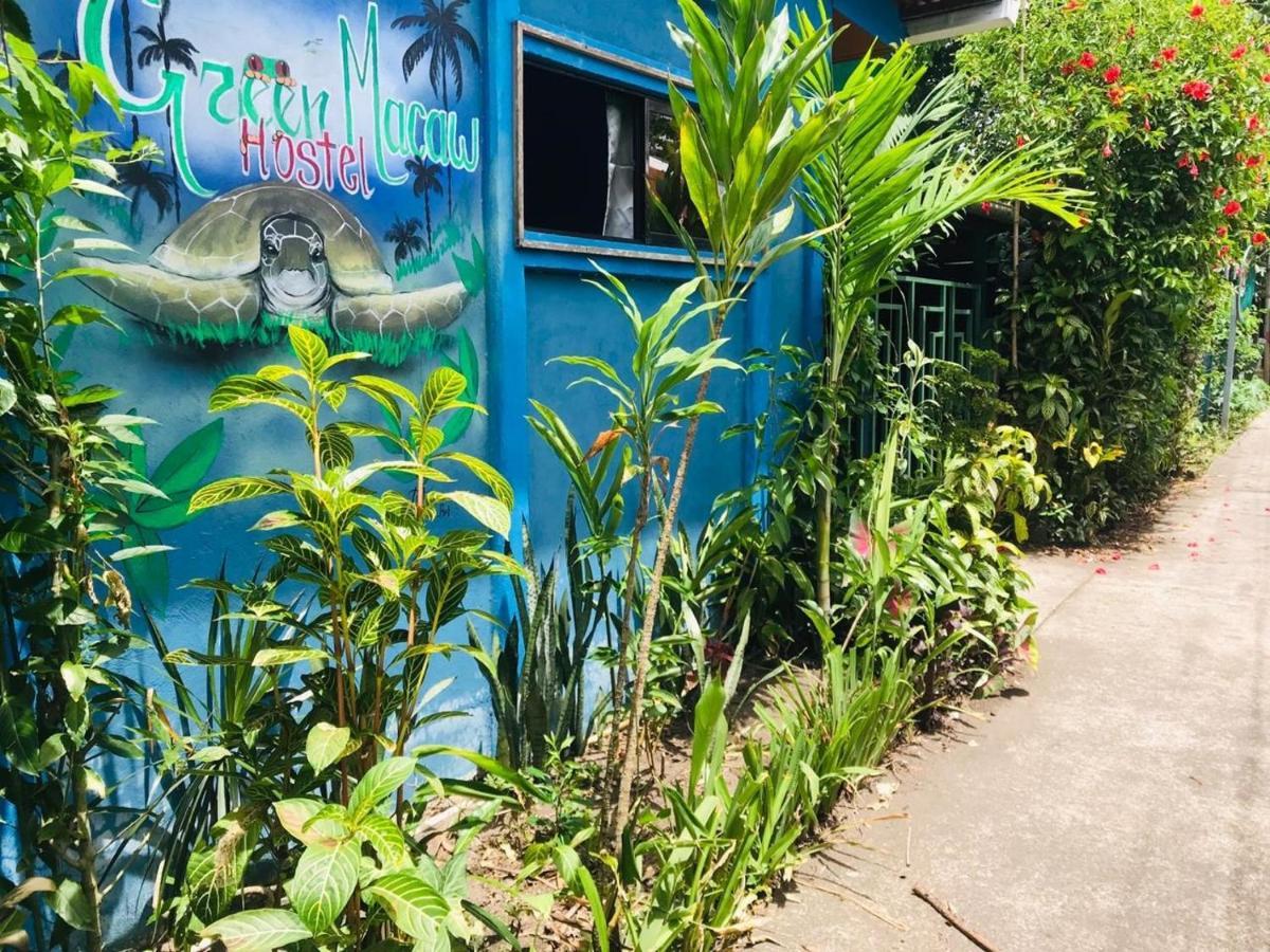 Green Macaw Hostel Тортугеро Экстерьер фото