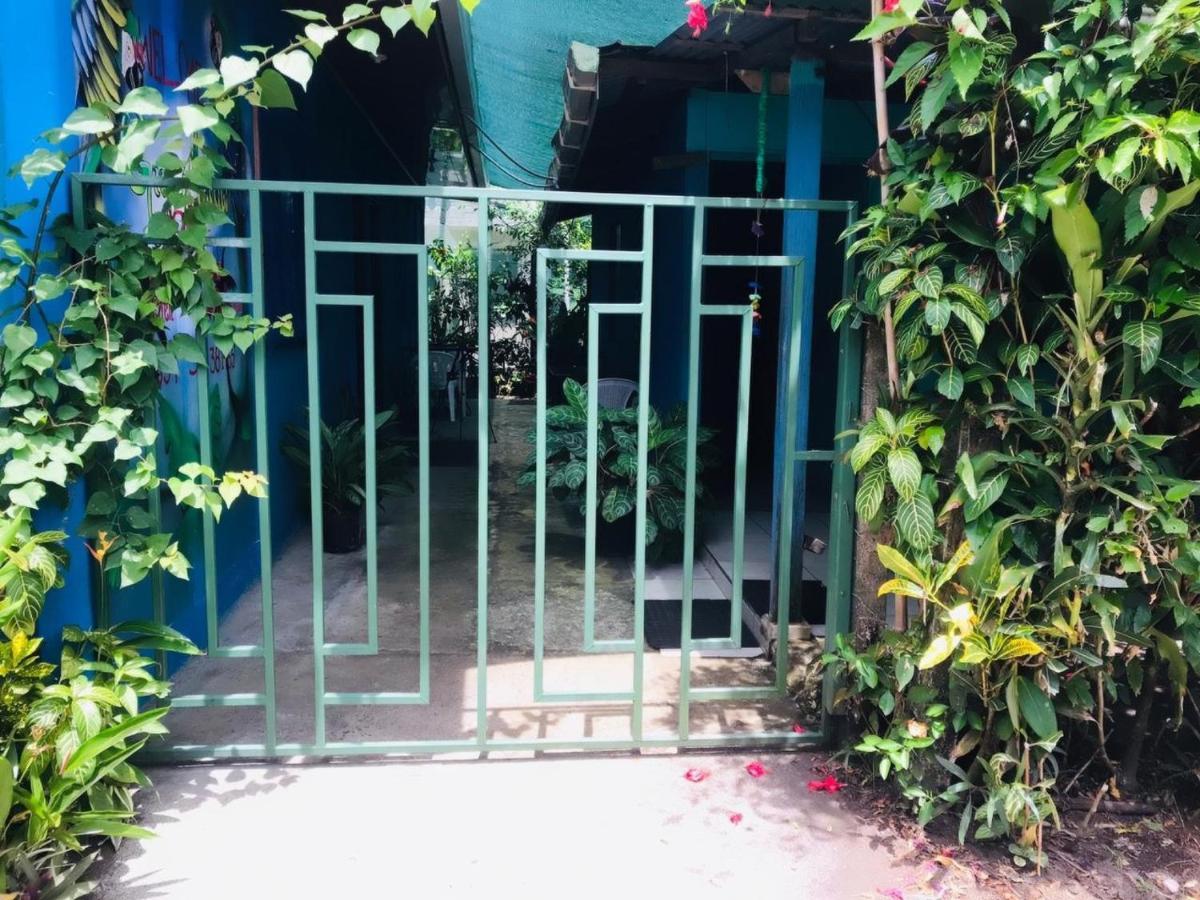 Green Macaw Hostel Тортугеро Экстерьер фото